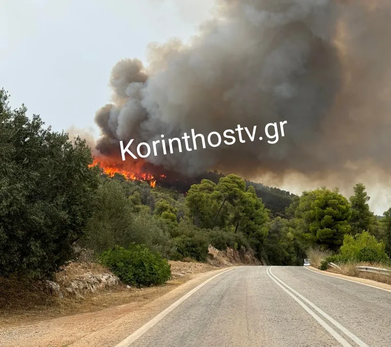 Κορινθία: Πέντε φωτιές από κεραυνούς – Μάχη με τις φλόγες στο Αμόνι Σοφικού – Τραυματίστηκε πυροσβέστης