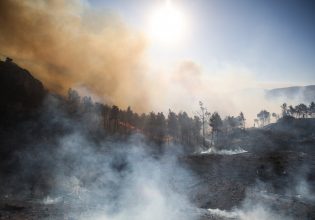 Φωτιά: Συνεχίζεται η κατάσβεση σε Ζάκυνθο και Δίστομο  – Χωρίς ενεργό μέτωπο η Σταμάτα