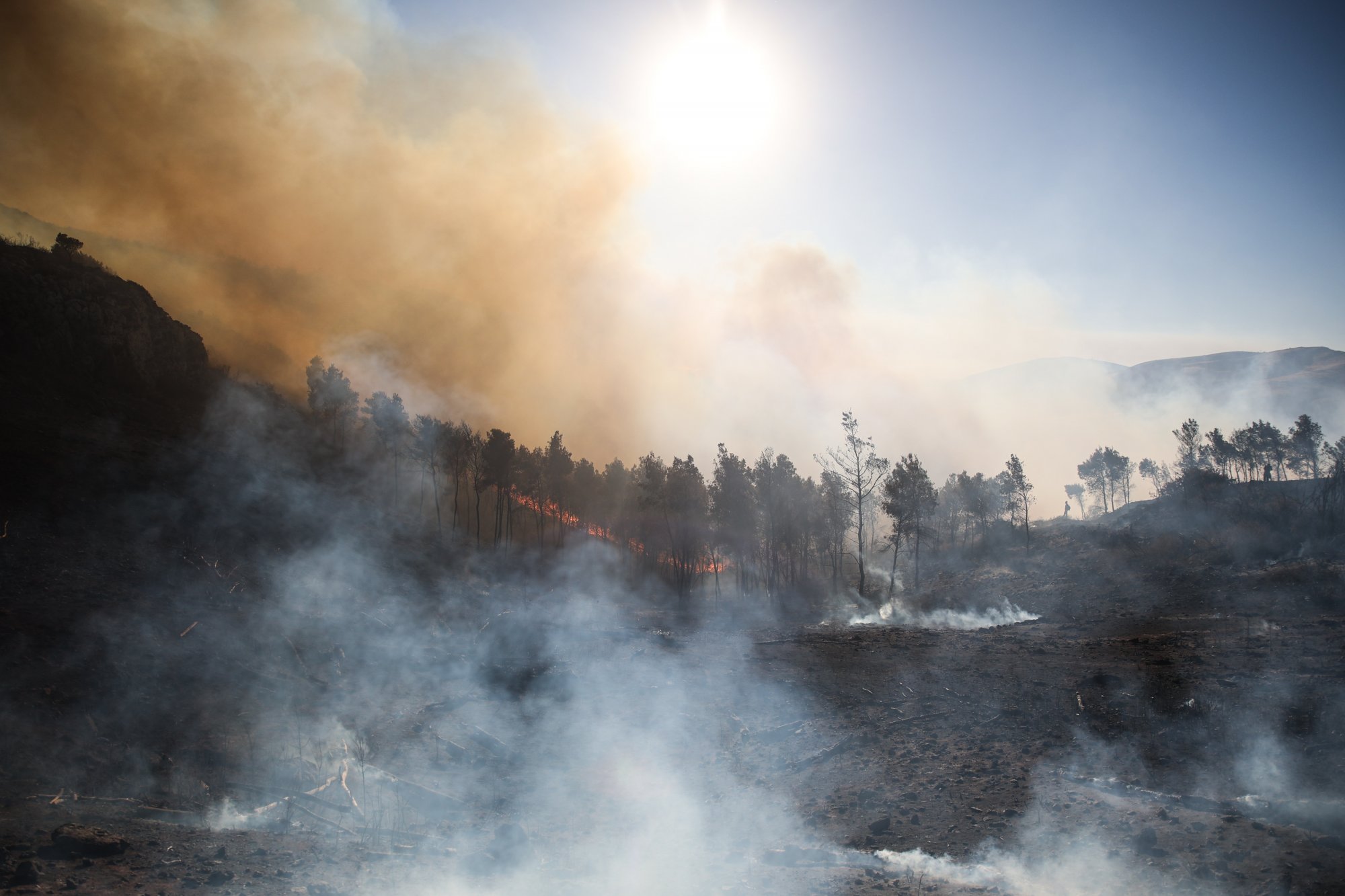 Φωτιά: Συνεχίζεται η κατάσβεση σε Ζάκυνθο και Δίστομο  - Χωρίς ενεργό μέτωπο η Σταμάτα
