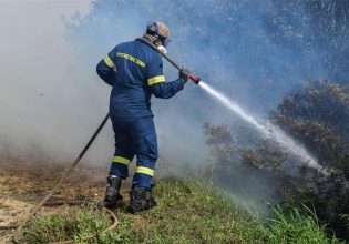 Ναυπακτία: Φωτιά σε δασική έκταση στην περιοχή της Τερψιθέας