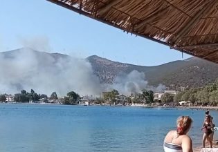 Φωτιά στην Εύβοια – Δίπλα στα σπίτια οι φλόγες στην περιοχή του Αλμυροπόταμου