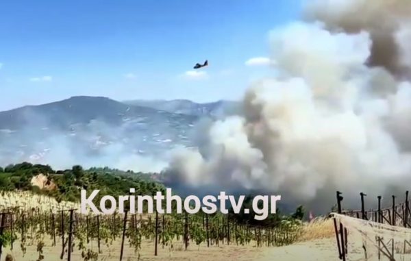Φωτιά στην Κορινθία: Στη μάχη με τις φλόγες 110 πυροσβέστες, «σηκώθηκαν» 16 ενάερια μέσα