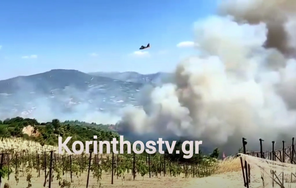 Φωτιά στην Κορινθία: Στη μάχη με τις φλόγες 110 πυροσβέστες, «σηκώθηκαν» 16 ενάερια μέσα