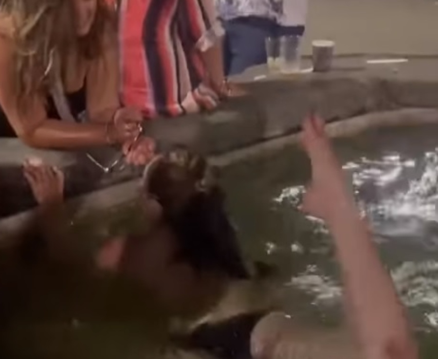 Φλωρεντία: Γυναίκα βουτάει topless σε συντριβάνι για βραδινό μπάνιο και γίνεται viral