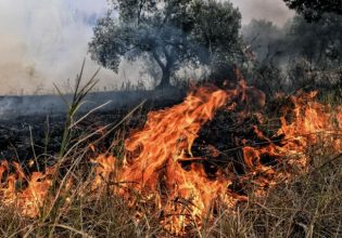 Φωτιά στη Ροδόπη: Επιχειρούν και εναέρια μέσα