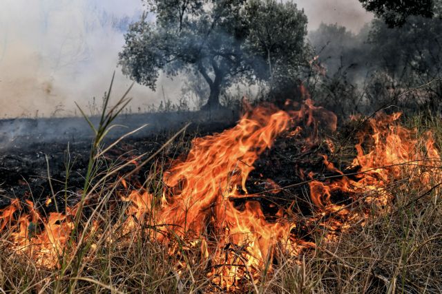 Φωτιά στο Αγρίνιο: Τρεις διαφορετικές εστίες στα Όχθια σε χαμηλή βλάστηση