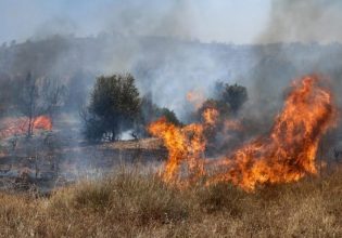 Φωτιά στη Θεσσαλονίκη: Καίει στον Λαγκαδά – «Σηκώθηκαν» αεροσκάφη και ελικόπτερα