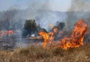 Ασπρόπυργος: Φωτιά σε χαμηλή βλάστηση στην περιοχή Ρουπάκι