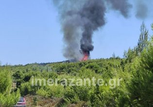 Φωτιά στη Ζάκυνθο σε δασική έκταση κοντά στο χωριό Αγαλάς