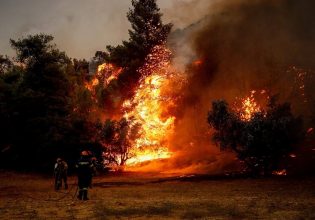 Μεγάλη φωτιά στο Πευκοδάσος στο Κιλκίς – Ήχησε το 112, προς το παρόν δεν απειλούνται οικισμοί ή το στρατόπεδο