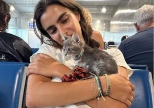 Σπέτσες: Στην Αμερική το γατάκι που σώθηκε από νεαρή τουρίστρια