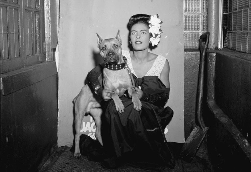 Οι τραγικές, τελευταίες ημέρες της Billie Holiday - «Προσπάθησα να κόψω αλλά δε μπορώ»