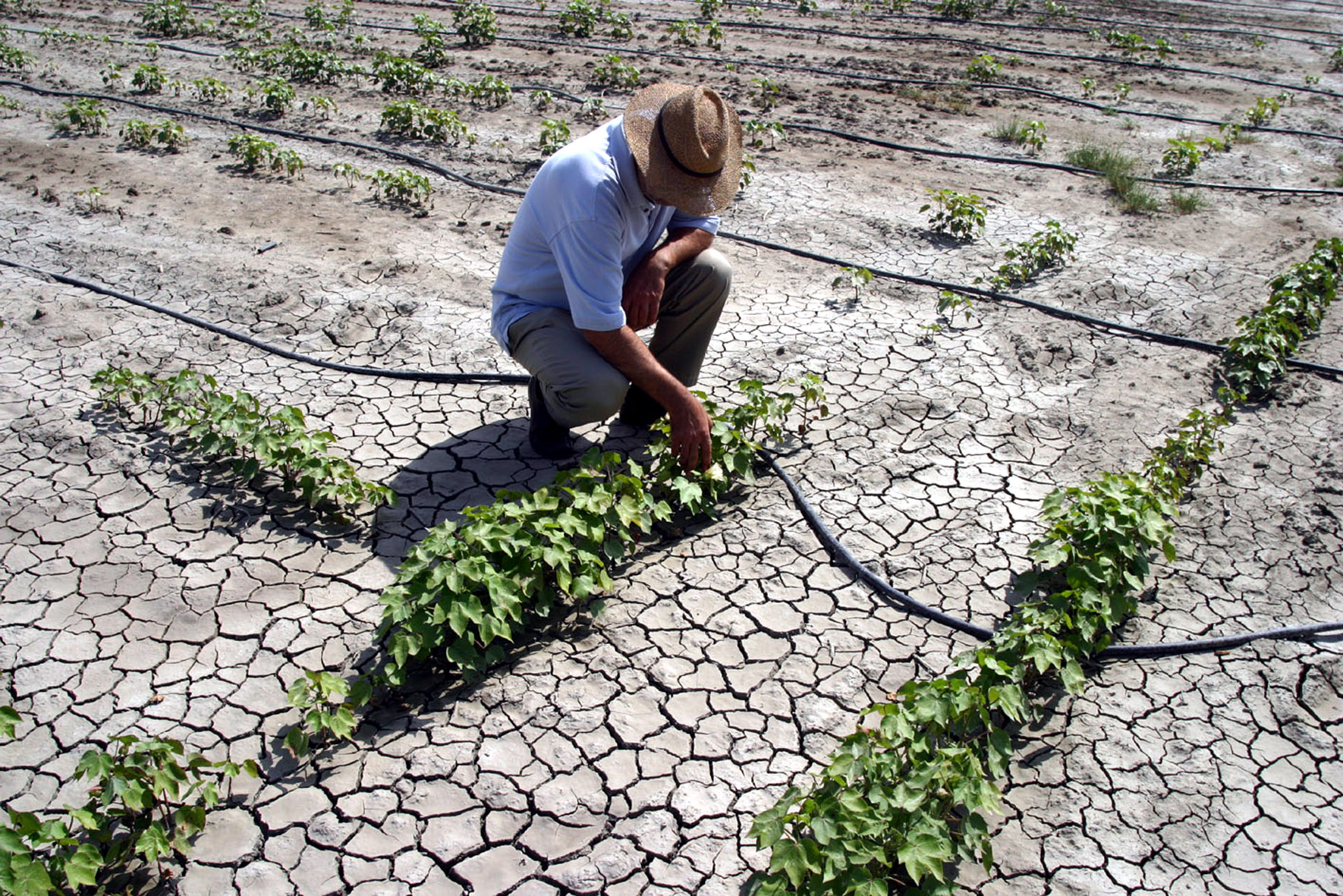 Νερό: Καμπανάκι η λειψυδρία για τη σπατάλη στις καλλιέργειες