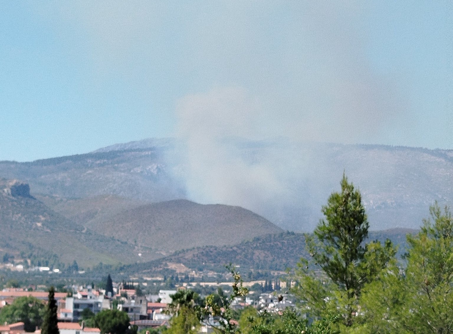 Φωτιά στην Εύβοια σε δασική έκταση στην περιοχή Κοντοδεσπότι