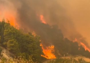 Συναγερμός για κίνδυνο πυρκαγιάς στην Κρήτη – Έκτακτα μέτρα σε όλο το νησί το Σάββατο
