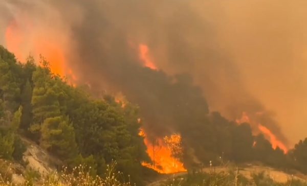 Συναγερμός για κίνδυνο πυρκαγιάς στην Κρήτη – Έκτακτα μέτρα σε όλο το νησί το Σάββατο