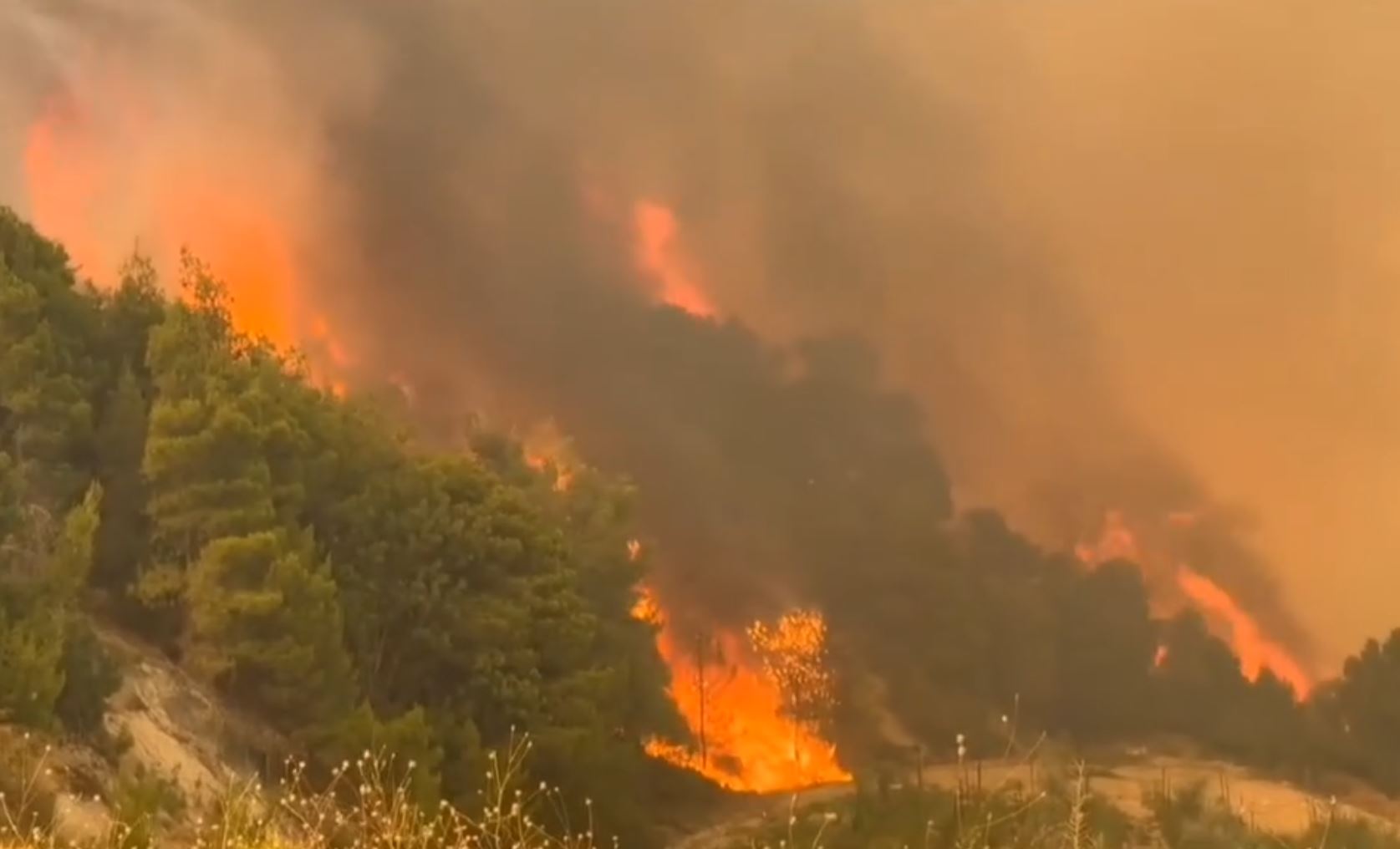 Συναγερμός για κίνδυνο πυρκαγιάς στην Κρήτη - Έκτακτα μέτρα σε όλο το νησί το Σάββατο