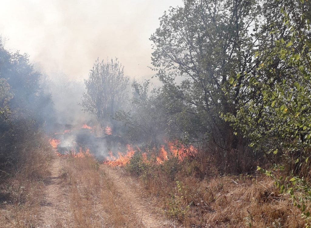 Φωτιά στην Κρηνίδα Σερρών – Επιχειρούν εναέρια μέσα