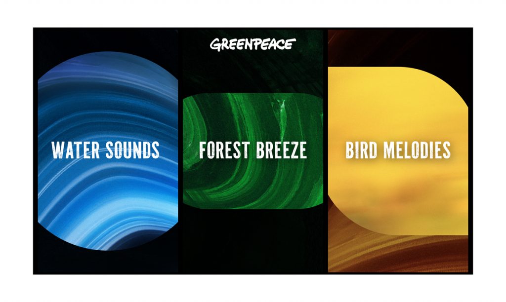 Αν αγαπάς τους ήχους της φύσης, άκου αυτή την playlist από την Greenpeace