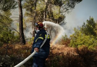 Πολύ υψηλός κίνδυνος πυρκαγιάς αύριο Πέμπτη – Σε ποιες περιοχές υπάρχει φόβος να εκδηλωθεί φωτιά