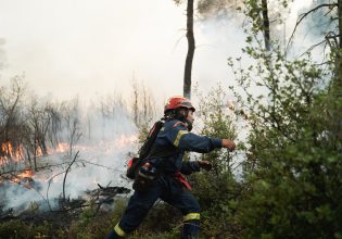 Φωτιά στον Διόνυσο – Επιχειρούν επίγειες δυνάμεις της Πυροσβεστικής