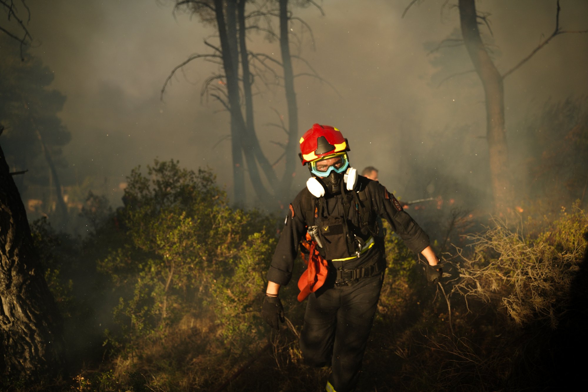 Σε συναγερμό η Πυροσβεστική για τον κίνδυνο φωτιάς - Χάρτης με τις «κόκκινες» περιοχές