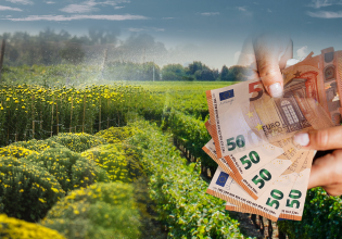 ΟΠΕΚΕΠΕ: Στους λογαριασμούς των αγροτών 167,1 εκατ. ευρώ – Τι πληρώθηκε
