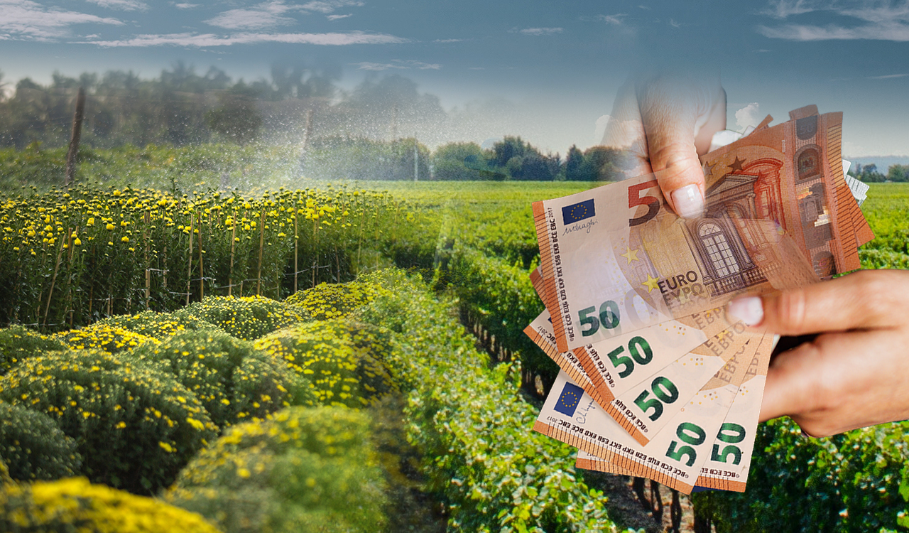 ΟΠΕΚΕΠΕ: Στους λογαριασμούς των αγροτών 167,1 εκατ. ευρώ – Τι πληρώθηκε