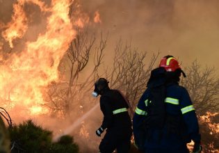 Φωτιά στην Εύβοια: Τραυματίστηκε πυροσβέστης – Μάχη με τις αναζωπυρώσεις δίνουν επίγειες και εναέριες δυνάμεις