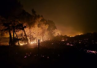 Φωτιά τώρα στην Κω: Απομακρύνονται κάτοικοι και τουρίστες από την Καρδάμαινα – Εκκενώνονται ξενοδοχεία