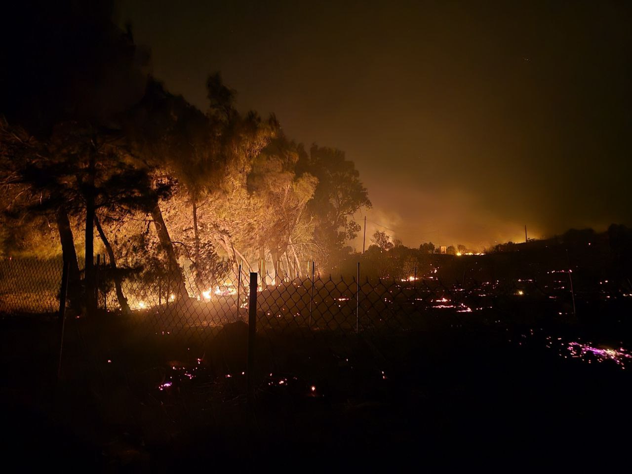 Φωτιά τώρα στην Κω: Απομακρύνονται κάτοικοι και τουρίστες από την Καρδάμαινα - Εκκενώνονται ξενοδοχεία