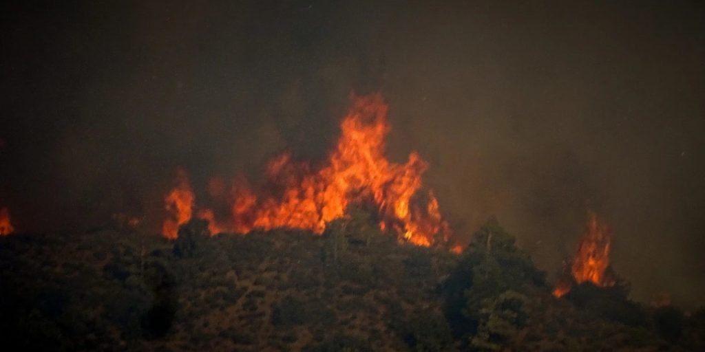 Μεσσηνία: Πυρκαγιά σε αγροτοδασική έκταση στον δήμο Πύλου – Νέστορος – Πνέουν ισχυροί άνεμοι