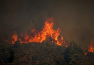 Μεσσηνία: Πυρκαγιά σε αγροτοδασική έκταση στον δήμο Πύλου – Νέστορος – Πνέουν ισχυροί άνεμοι