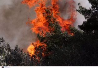 Κιλκίς: Αναζωπυρώθηκε η φωτιά στο Πολύκαστρο – Κοντά σε στρατιωτικές εγκαταστάσεις οι φλόγες