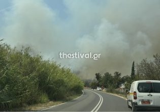 Φωτιά στον Τρίλοφο Θεσσαλονίκης – Μάχη με τις φλόγες, απειλούνται σπίτια