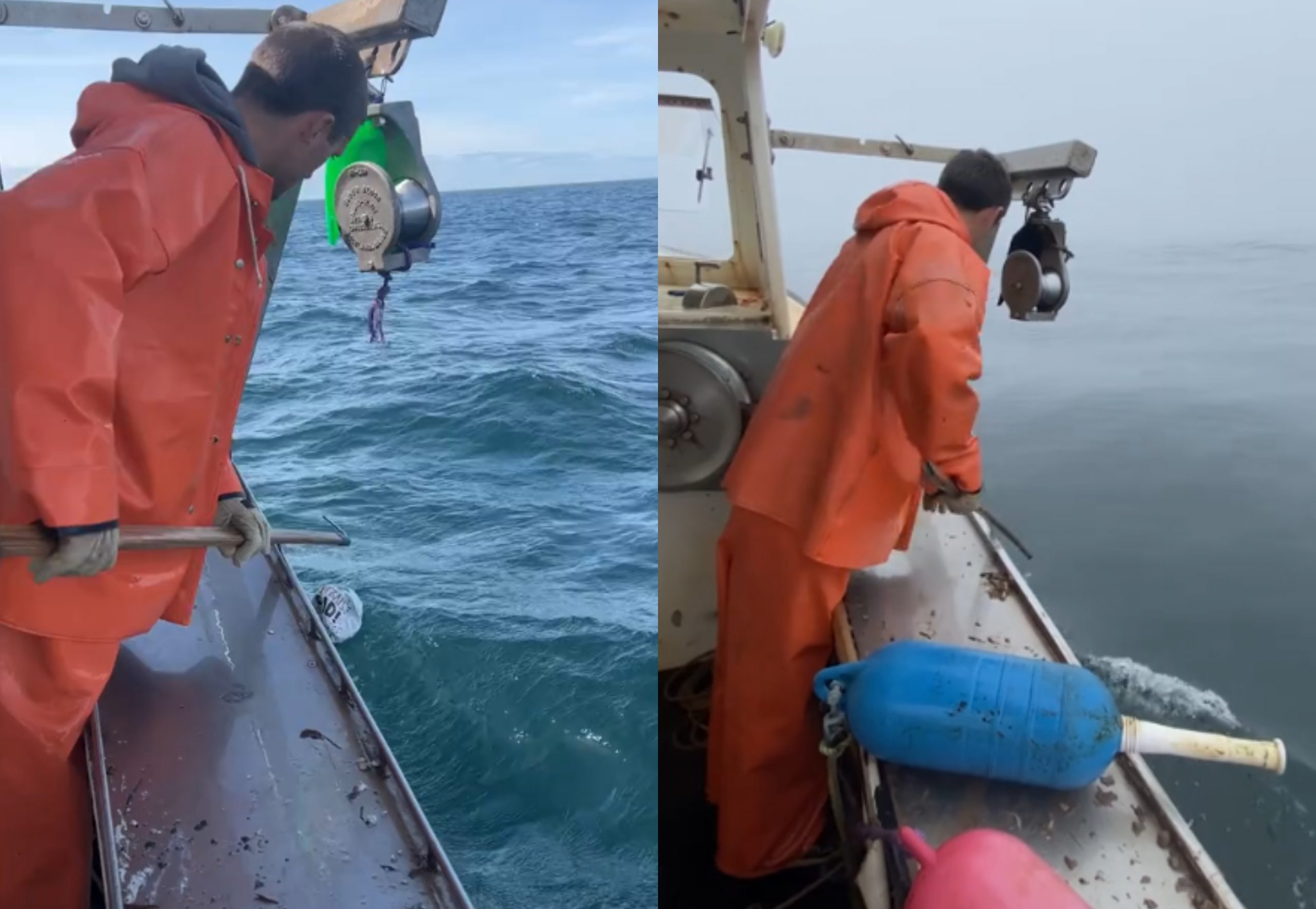 TikTok: Θύελλα αντιδράσεων με βίντεο που δημοσίευσε ψαράς