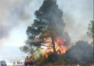 Συναγερμός για φωτιά στο Σοφικό Κορινθίας: Επιχειρούν 10 εναέρια μέσα – Στο νοσοκομείο πυροσβέστης