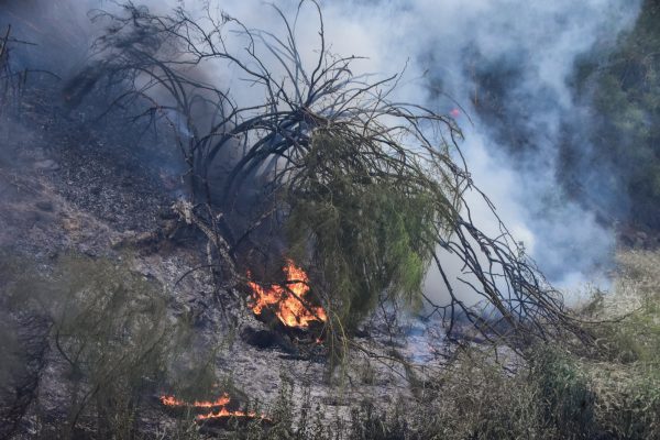 Φωτιά: Πολύ υψηλός κίνδυνος πυρκαγιάς σήμερα – Ποιες περιοχές βρίσκονται στο «πορτοκαλί»