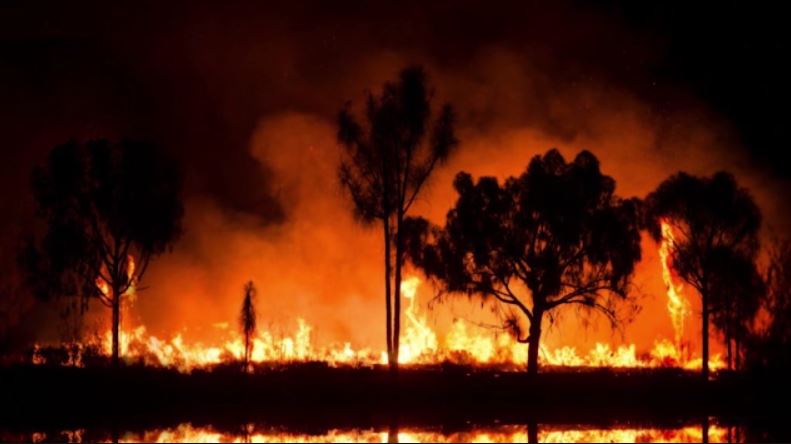 Πολύ υψηλός κίνδυνος για εκδήλωση πυρκαγιάς σε Αττική και Πελοπόννησο