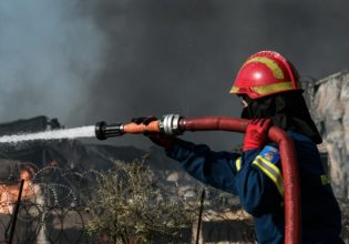 Πολύ υψηλός κίνδυνος φωτιάς στη νησιωτική Ελλάδα