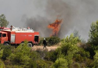 Φωτιά στο Κιλκίς στην περιοχή Καλλιρόη – Επιχειρούν 50 πυροσβέστες