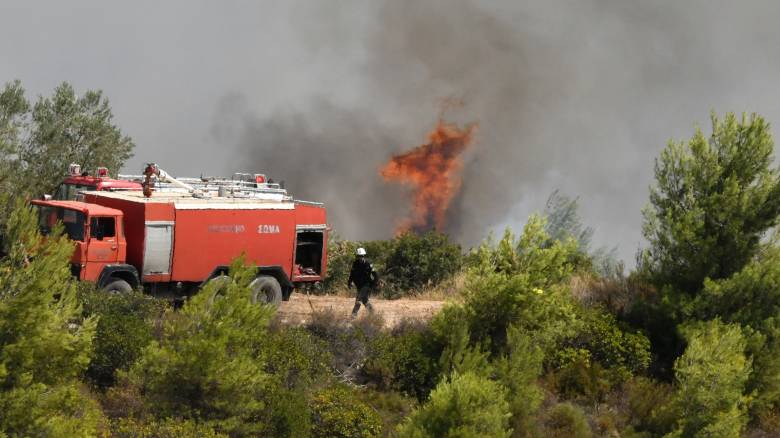 Φωτιά στο Κιλκίς στην περιοχή Καλλιρόη - Επιχειρούν 50 πυροσβέστες