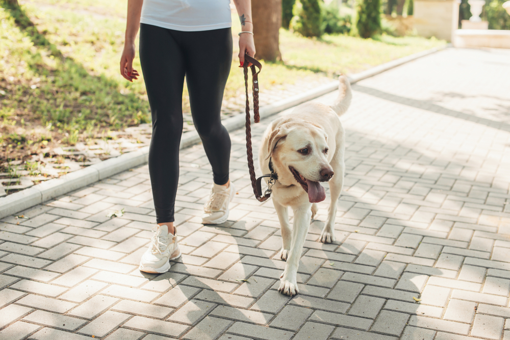 Τι φανερώνει για την υγεία σας ο τρόπος που περπατάτε;