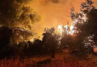 Φωτιά στην Κορινθία: Ολονύχτια μάχη με τις φλόγες – Μεγάλες καταστροφές σε καλλιέργειες