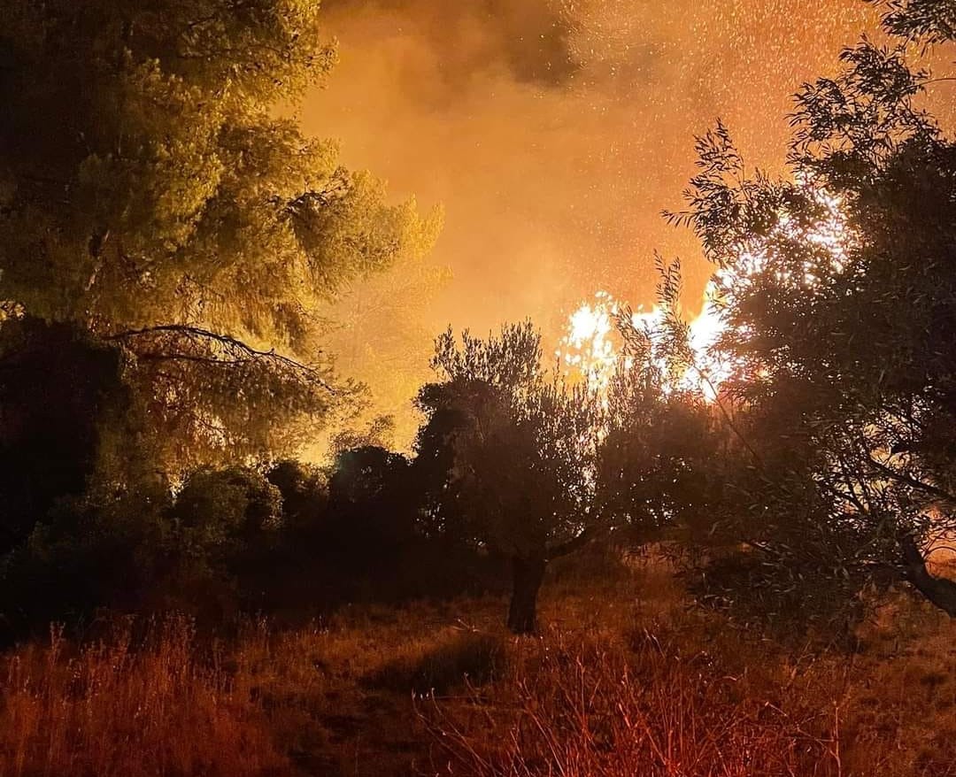 Φωτιά στην Κορινθία: Ολονύχτια μάχη με τις φλόγες - Μεγάλες καταστροφές σε καλλιέργειες