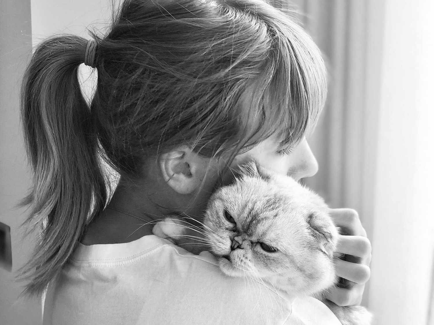 Η γάτα της Τέιλορ Σουίφτ έχει μεγαλύτερη περιουσία από τον σύντροφο της, Τράβις Κελσι
