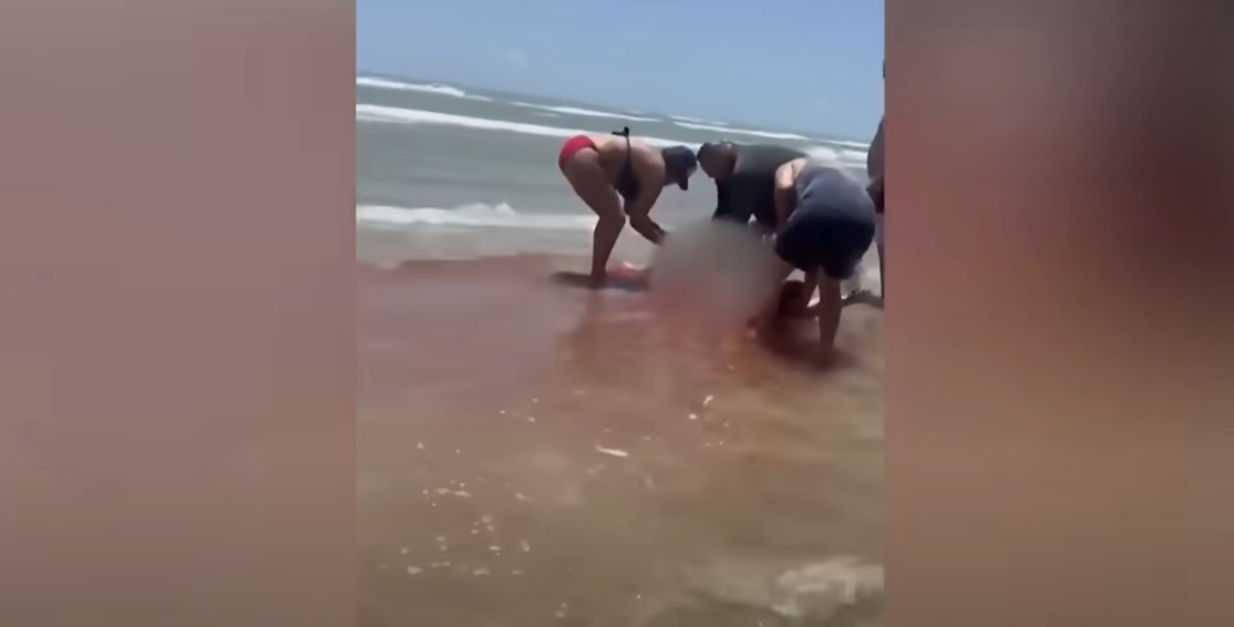 Τέξας: Επίθεση καρχαρία σε γυναίκα – Η θάλασσα έγινε κόκκινη από το αίμα