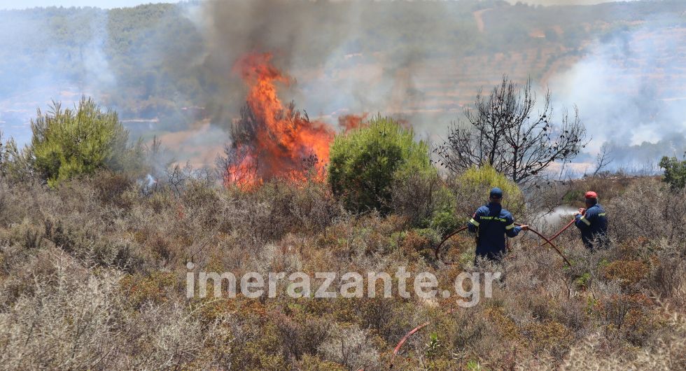 Ζάκυνθος: Υπό έλεγχο η πυρκαγιά στον Αγαλά