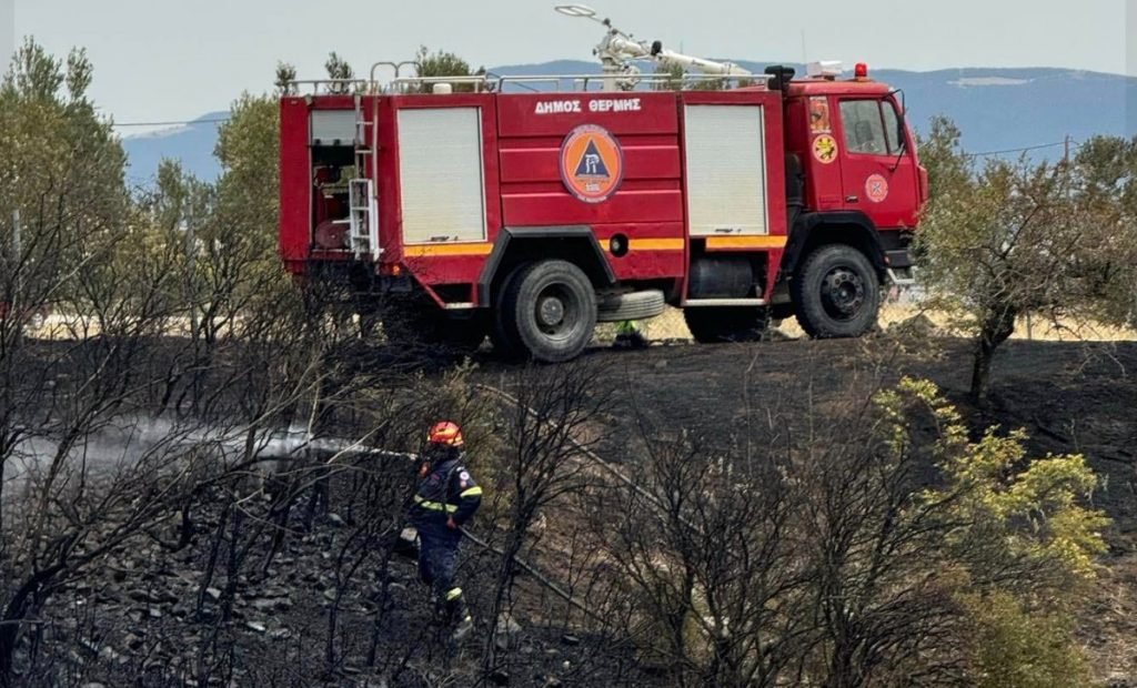 Θεσσαλονίκη: Συνελήφθη άνδρας για πρόκληση φωτιάς στη Νέα Ραιδεστό – Του επιβλήθηκε πρόστιμο