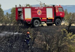 Θεσσαλονίκη: Συνελήφθη άνδρας για πρόκληση φωτιάς στη Νέα Ραιδεστό – Του επιβλήθηκε πρόστιμο
